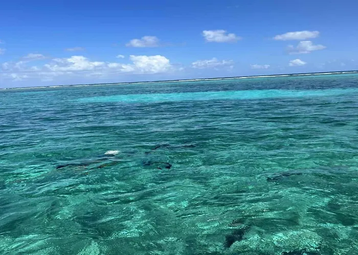 Holiday home Residences At Barrier Reef 10-2b Oceanfront 2 Bedroom By Floreo *
